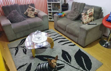 Imagem 15: Lindo apartamento no serra ville