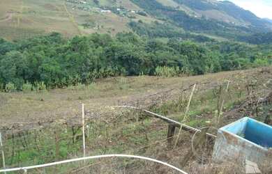 Imagem 8: Bento Gonçalves - Fazenda - Faria Lemos