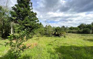 Imagem: A fazenda possui 1.100m² de Área e está localizado em Fazenda
