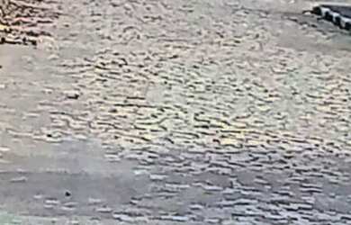 Imagem 3: Vendo ou troco por carro