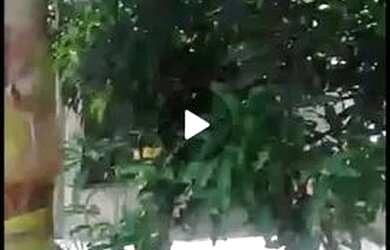 Imagem 3: Vende casa porto dourado. 100m² de Área, 1 Vaga na garageme1 Dormitório