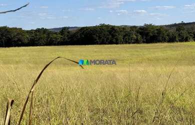 Imagem 6: FAZENDA À VENDA - 165 HECTARES - REGIÃO DE CURVELO MG