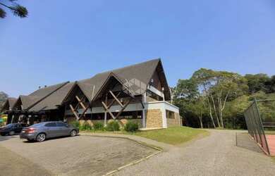 Imagem 6: Pinheiro Grosso. 734m² de Área