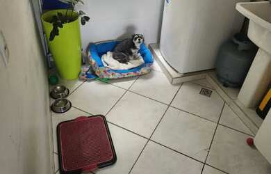 Imagem 8: Apartamento 72m², Nossa Senhora De Fátima Itajubá M/G