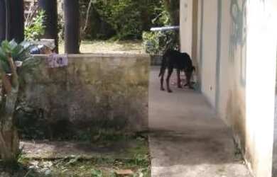 Imagem 3: Chacara paraiso apenas 147 mil reais