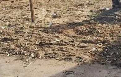 Imagem: O terreno possui 200m² de Área e está localizado em Monte