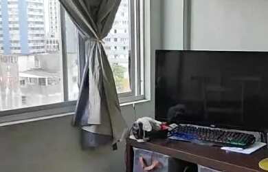 Imagem: Apartamento de 2 quartos à venda no Centro de Florianópolis