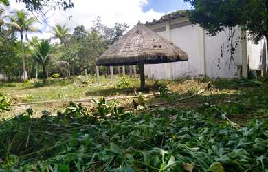 Imagem 14: Lotes espetacular em Aldeia, arborizados, murado, plano, legalizado