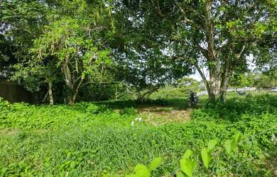 Imagem 6: área maravilhosa em Aldeia, com mas de meio heketare, belíssima vista para mata atlântica!