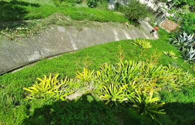 Imagem 6: Linda Casa com 4 quartos em Região de Reserva e arquitetura Rustica Singular