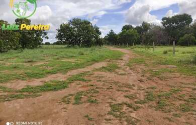 Imagem 5: FAZENDA À VENDA NO FORMOSO DO ARAGUAIA-TO- 1936 HECTARES (DUPLA APTIDÃO