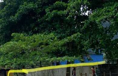 Imagem 13: Raridade Terreno na praia da Verolme 787 metros quadrados