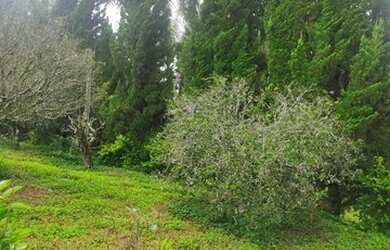 Imagem: O terreno possui 1000m² de Área e está localizado em Jardim