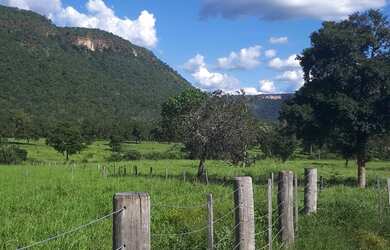 Imagem: A fazenda está localizado em Aparecida do Rio Negro, TO à