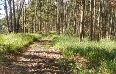 Imagem 6: 01- Terreno 2500 m² em Salesópolis SP