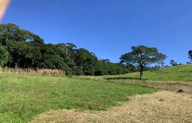 Imagem 12: lf- Vende- se terreno para você e sua família