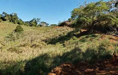 Imagem 3: Lote/Terreno para venda possui 600 metros quadrados em Vila Zizinha -...