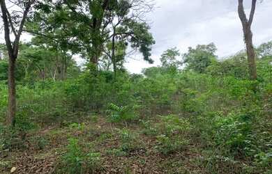 Imagem 8: Terreno urbano 17.000m² boa topografia, linda vista, Serra do Cipó