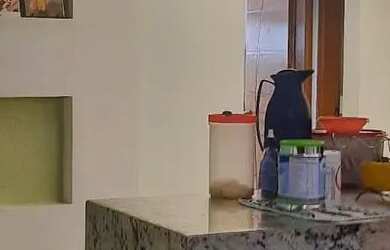 Imagem 2: Excelente apartamento amplo de 2 quartos com vaga de garagemem Colubande...