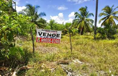 Imagem 3: Dois lotes juntos Porto de Pedras, Paria Tatuamunha, proximo ao Mar
