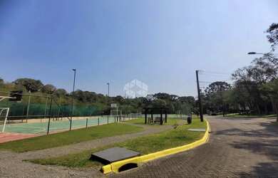 Imagem 8: Pinheiro Grosso. 734m² de Área