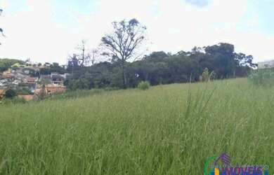 Imagem 4: AREA - JARDIM PANORAMA - SP