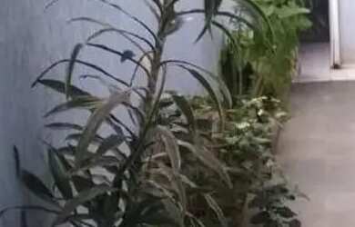 Imagem 12: sobrado comercial mooca. 225m² de Áreae2 Vagas na garagem