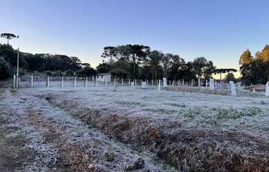 Imagem: A chácara possui 5.800m² de Área e está localizado em Roseira