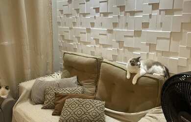 Imagem 4: Alugo apartamento mobiliado em Camaçari próx ao shopping