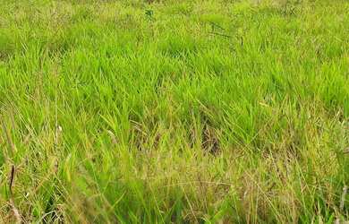 Imagem: O terreno possui 250m² de Área e está localizado em Top do