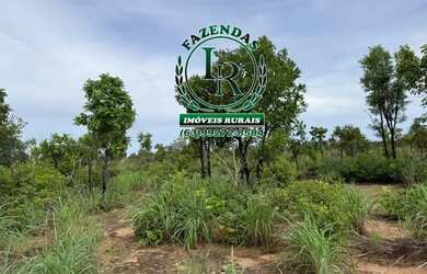 Imagem: A chácara possui 2500m² de Área e está localizado em Centro