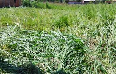 Imagem: Terreno Parque das Águas Várzea Grande