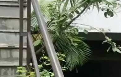 Imagem: A casa possui 4 Dormitórios, 5 Banheiros, 5 Vagas na garagem