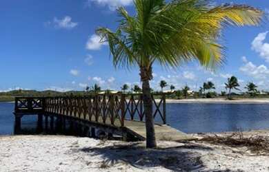 Imagem 6: Fazenda Real. Piscina, Churrasqueirae375m² de Área