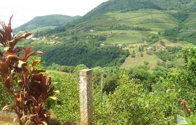 Imagem 5: Bento Gonçalves - Fazenda - Faria Lemos