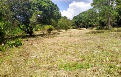 Imagem 8: Lotes espetacular em Aldeia, arborizados, murado, plano, legalizado