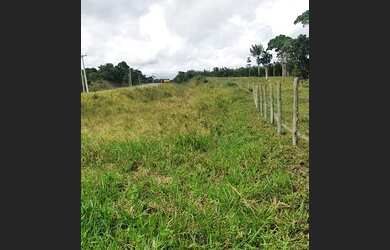 Imagem 3: Terreno a 45km do Aeroporto de Porto Seguro