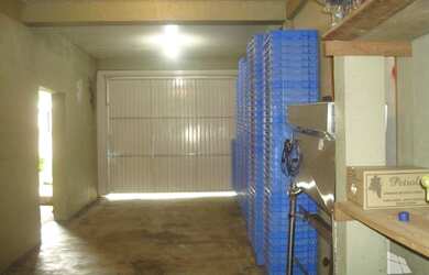 Imagem 13: Bento Gonçalves - Fazenda - Faria Lemos