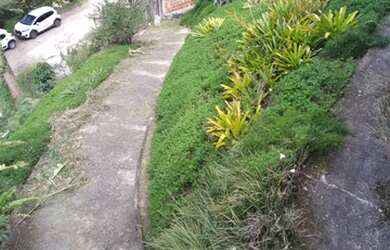 Imagem 7: Linda Casa com 4 quartos em Região de Reserva e arquitetura Rustica Singular