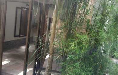 Imagem 3: Linda Casa com 4 quartos em Região de Reserva e arquitetura Rustica Singular