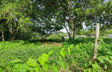 Imagem 1: área maravilhosa em Aldeia, com mas de meio heketare, belíssima vista para mata atlântica!