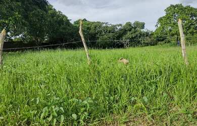 Imagem 5: área maravilhosa em Aldeia, com mas de meio heketare, belíssima vista para mata atlântica!