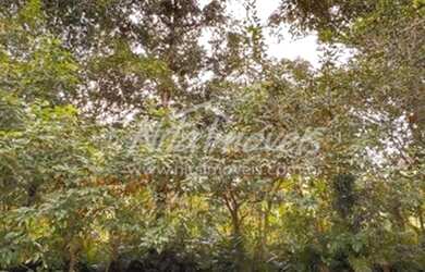 Imagem 2: Sua casa de praia está aqui