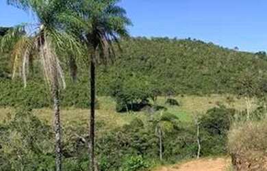 Imagem 1: Fazenda 11 algueire em Aparecida