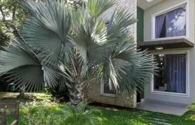 Imagem: A casa em condomínio possui 3 Dormitórios, 5 Banheiros, 3