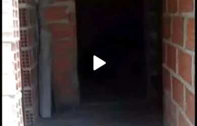 Imagem 2: Vende casa porto dourado. 100m² de Área, 1 Vaga na garageme1 Dormitório