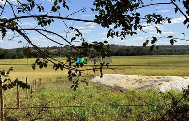 Imagem 16: FAZENDA À VENDA - 165 HECTARES - REGIÃO DE CURVELO MG
