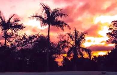 Imagem 10: Sitio com 98.000m2 PREÇO BOM Valor a baixo de mercado