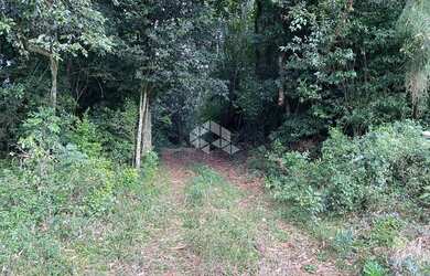 Imagem 13: Chácara com casa e ótimo aproveitamento