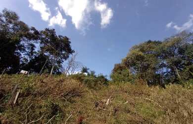 Imagem 5: Terreno à venda, 787 m² - Braunes - Nova Friburgo/RJ
